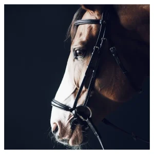 Agenda Drop Noseband fra AEquipt