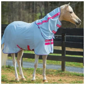 Amigo Bug Rug Pony