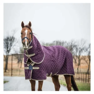 Amigo Stable Plus Disc 200 gram