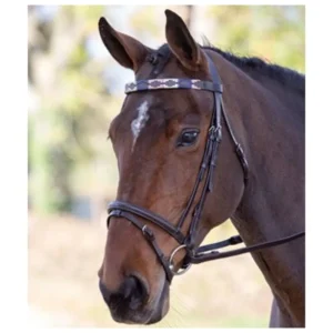 Blenheim Leather Polo Browband Pannebånd
