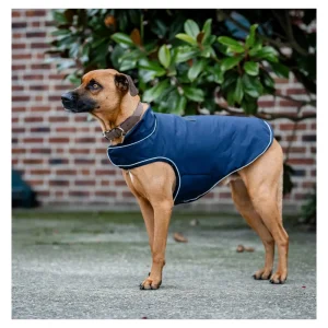 Horseware Signature Dog Rain Coat 100 Gram