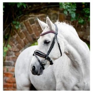 Horseware Pony Diamante Flash Bridle Hodelag