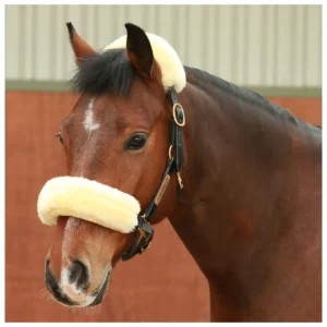Kentucky Sheepskin Noseband Cover