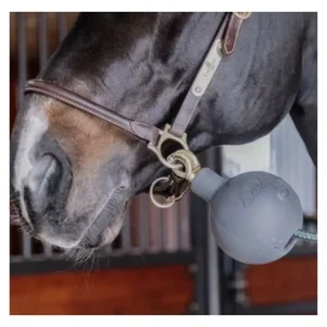 Kentucky Lead & Wall Protection Rubber Ball