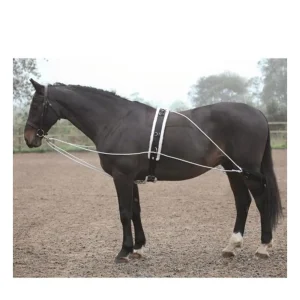 Lunging Aid Longeringssystem Justeringsbar